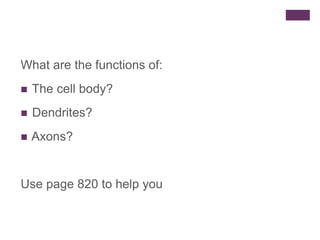 What are the functions of:
 The cell body?
 Dendrites?
 Axons?
Use page 820 to help you
 