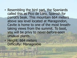 • Resembling the bird part, the Spaniards
called this as Pico de Loro, Spanish for
parrot’s beak. This mountain 664 meters
above sea level located at Maragondon,
Cavite is home to one of the most breath-
taking views from the summit. To boot,
you will be privy to never-before-seen
unusual plants.
• Height: 664 meters
Difficulty: Manageable
 