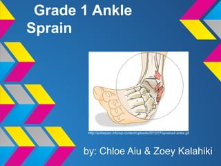 Grade 1 Ankle
Sprain




        http://anklepain.info/wp-content/uploads/2012/07/sprained-ankle.gif




       by: Chloe Aiu & Zoey Kalahiki
 