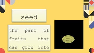 seed
the part of
fruits that
can grow into
 