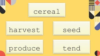 cereal
harvest
produce
seed
tend
 