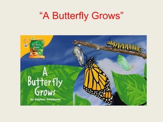 “A Butterfly Grows” 
 