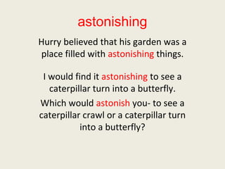 Grade 1 lesson 13 vocabulary powerpoint | PPT