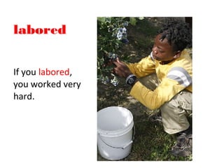 Laborious Examples Grade 1 lesson 18 vocabulary powerpoint | PPT