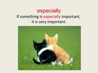 Grade 1 lesson 3 vocabulary powerpoint | PPT