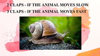 Tempo Example Using Animals Grade 1 Music and Arts Tempo / W2d and 3d art | PPTX