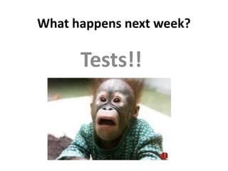 What happens next week? Tests!! 