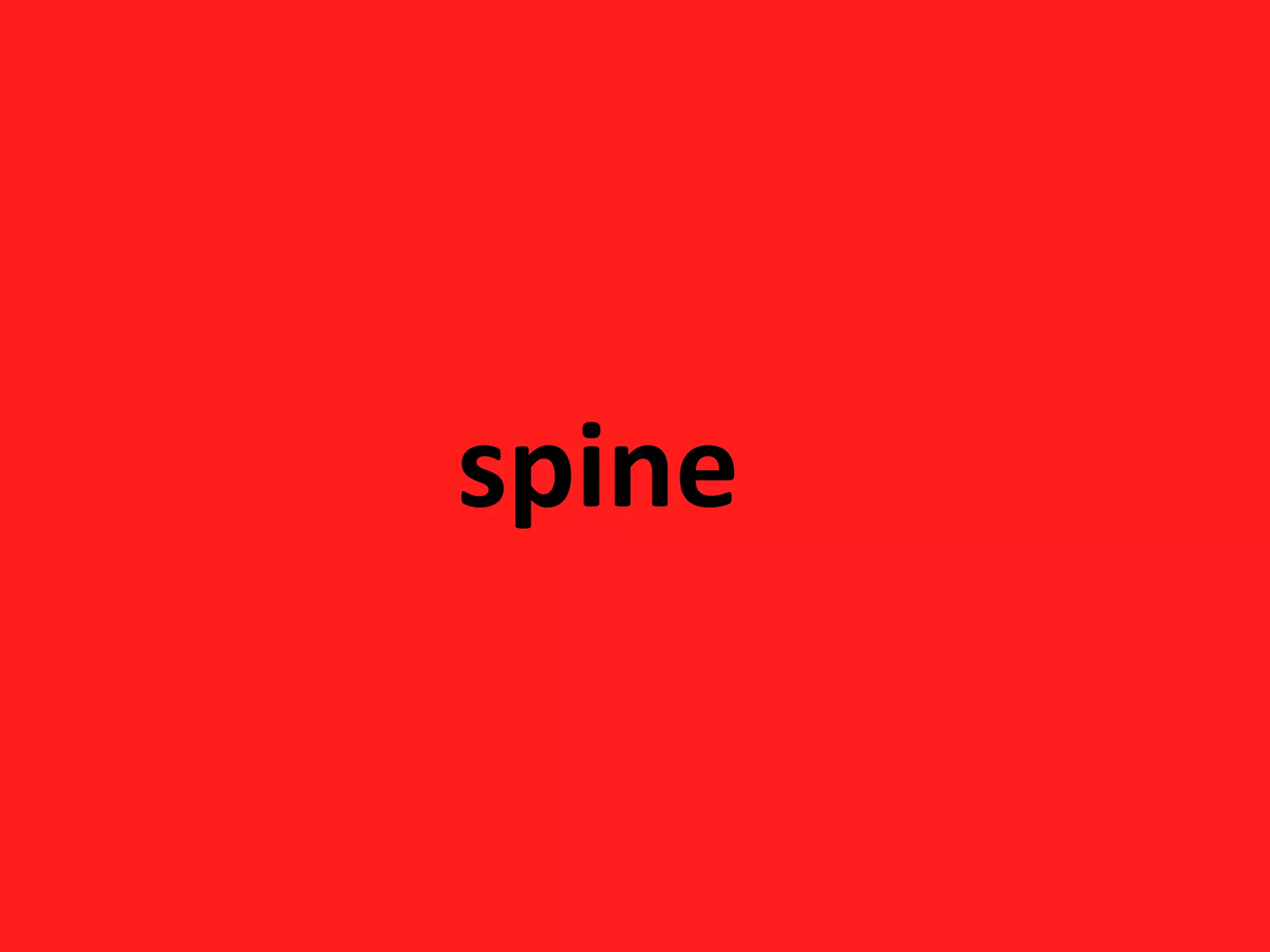 spine
 
