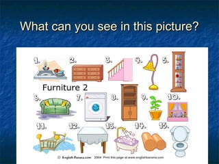 What can you see in this picture?What can you see in this picture?
 