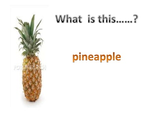 What  is this……?pineapple