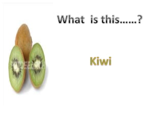 What  is this……?Kiwi