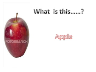 What  is this……?Apple