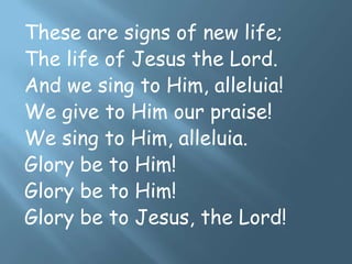 These are signs of new life;
The life of Jesus the Lord.
And we sing to Him, alleluia!
We give to Him our praise!
We sing to Him, alleluia.
Glory be to Him!
Glory be to Him!
Glory be to Jesus, the Lord!
 
