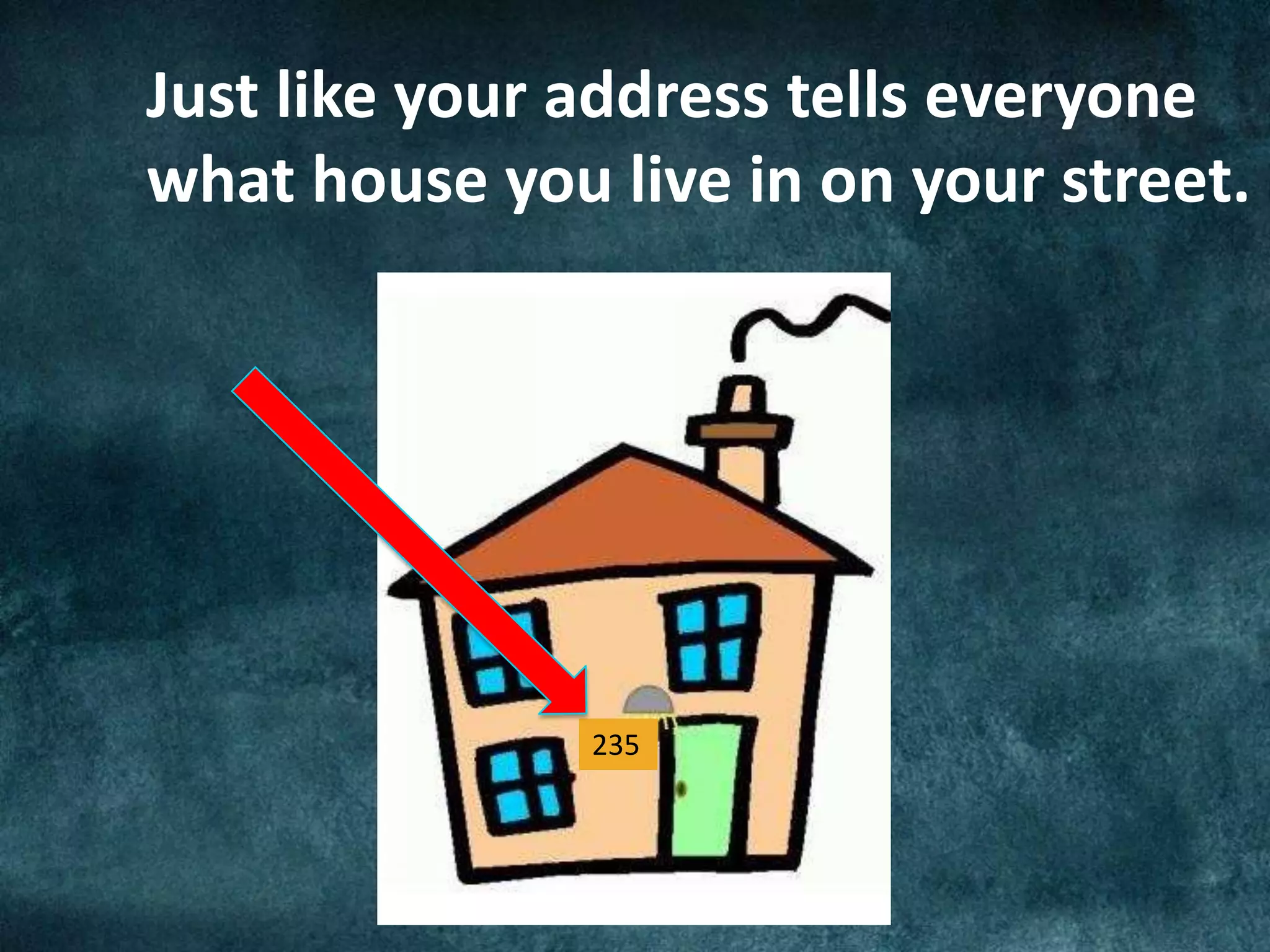 Grade 2 English Lesson 1 Unit 2 Pdf