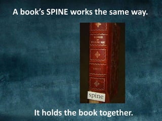 A book’s SPINE works the same way.
It holds the book together.
 