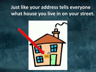 Just like your address tells everyone
what house you live in on your street.
235
 