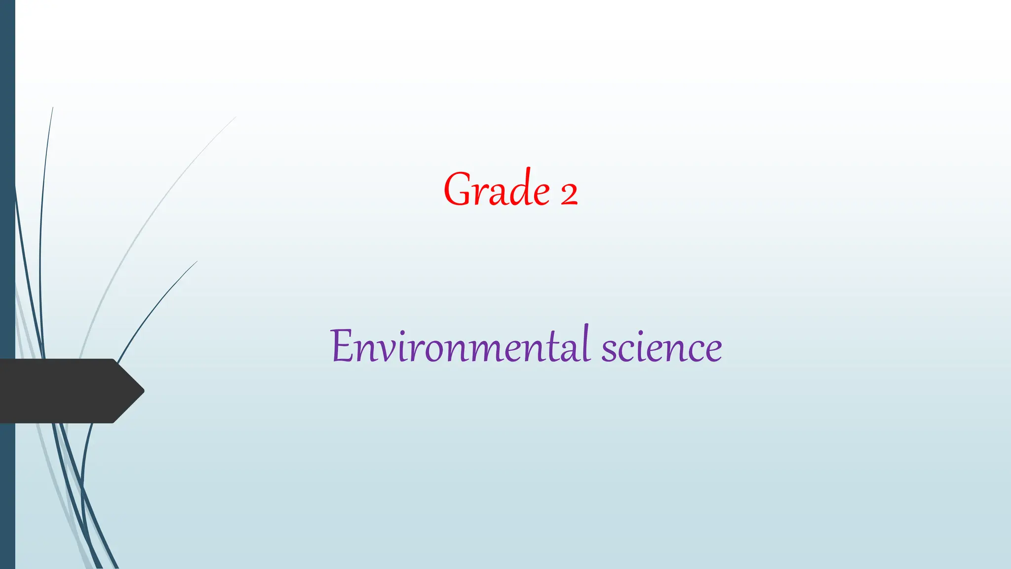 Grade 2 Evs Chapter 13.pptx