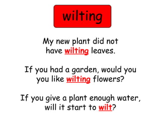 wilting 
My new plant did not 
have wilting leaves. 
If you had a garden, would you 
you like wilting flowers? 
If you give a plant enough water, 
will it start to wilt? 
 