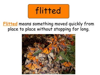 flitted 
Flitted means something moved quickly from 
place to place without stopping for long. 
 