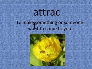 attrac 
To maket something or someone 
want to come to you. 
 