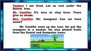 Yaekov: I am tired. Let us rest under the
Balete tree.
Mr. Castillo: It’s nice to stay here. Trees
give us shade.
Mrs. Castillo: Oh, mangoes! Can we have
some?
Mr. Castillo went up the tree. He put the
mangoes in a basket. He also picked fruits
from the Santol and Sampaloc trees.
 