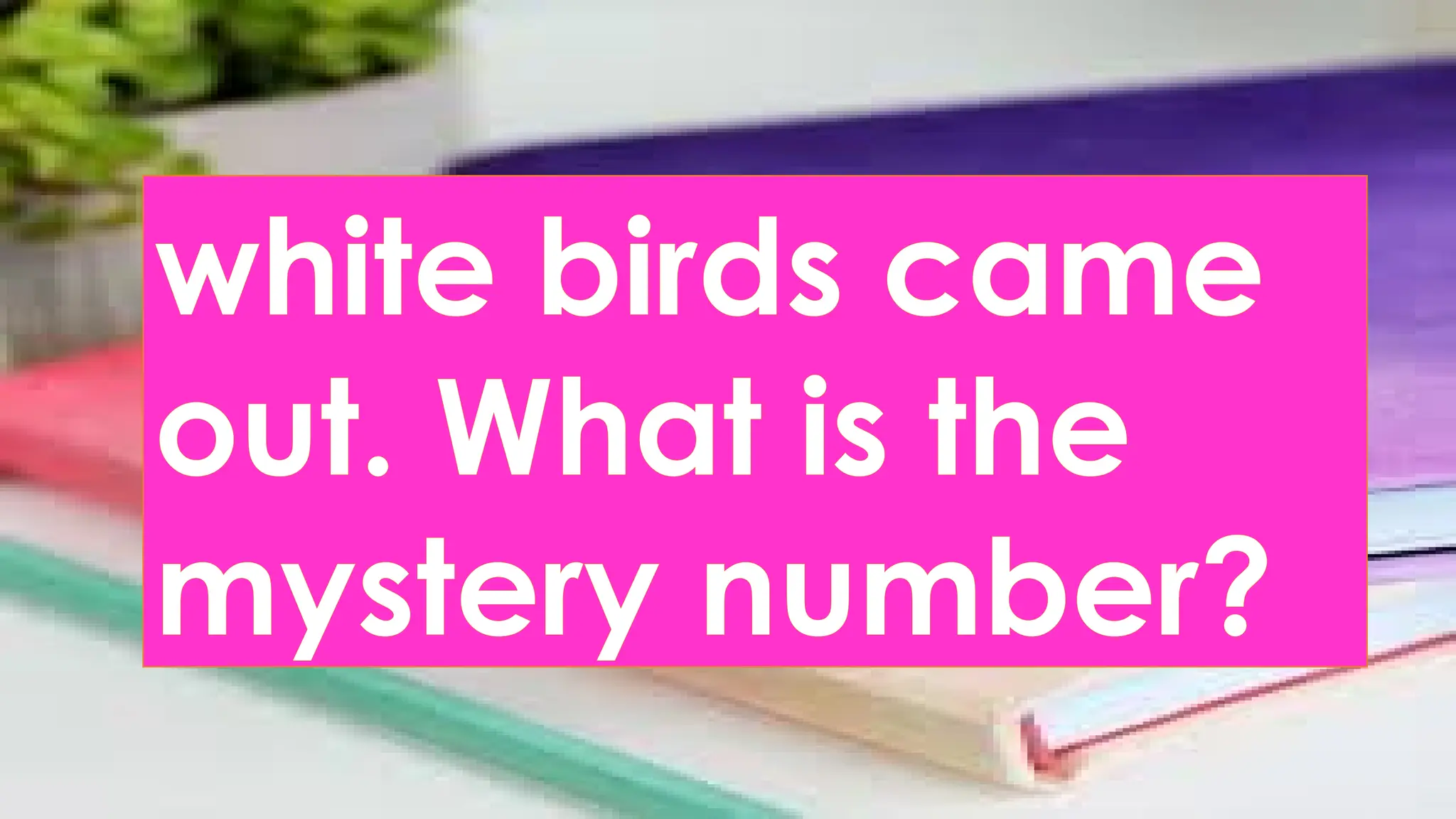 white birds came
out. What is the
mystery number?
 