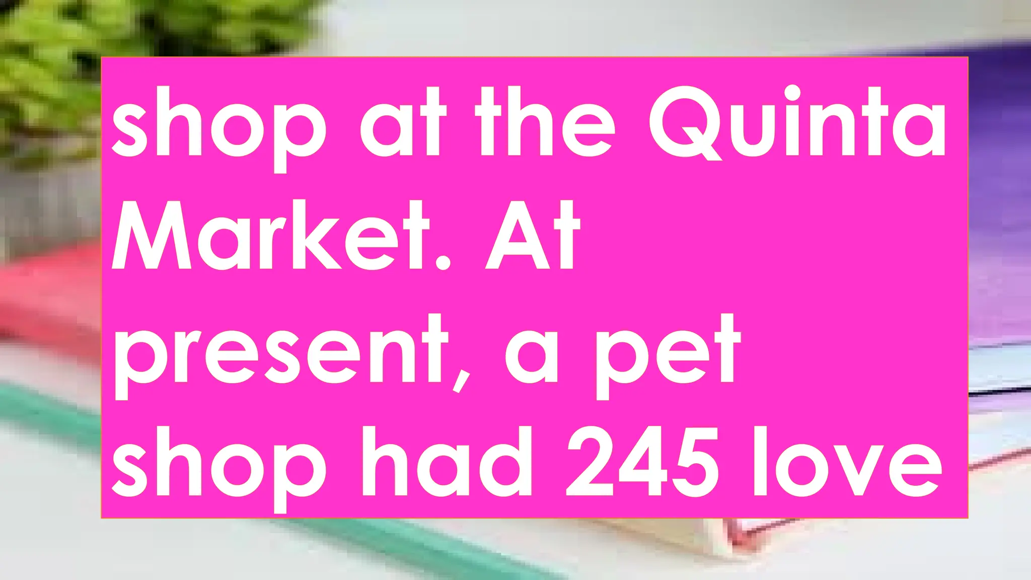 shop at the Quinta
Market. At
present, a pet
shop had 245 love
 
