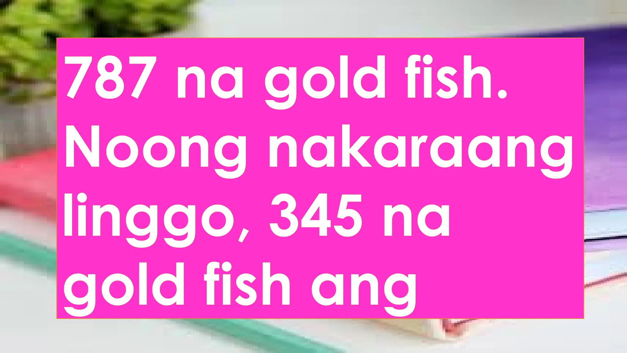 787 na gold fish.
Noong nakaraang
linggo, 345 na
gold fish ang
 