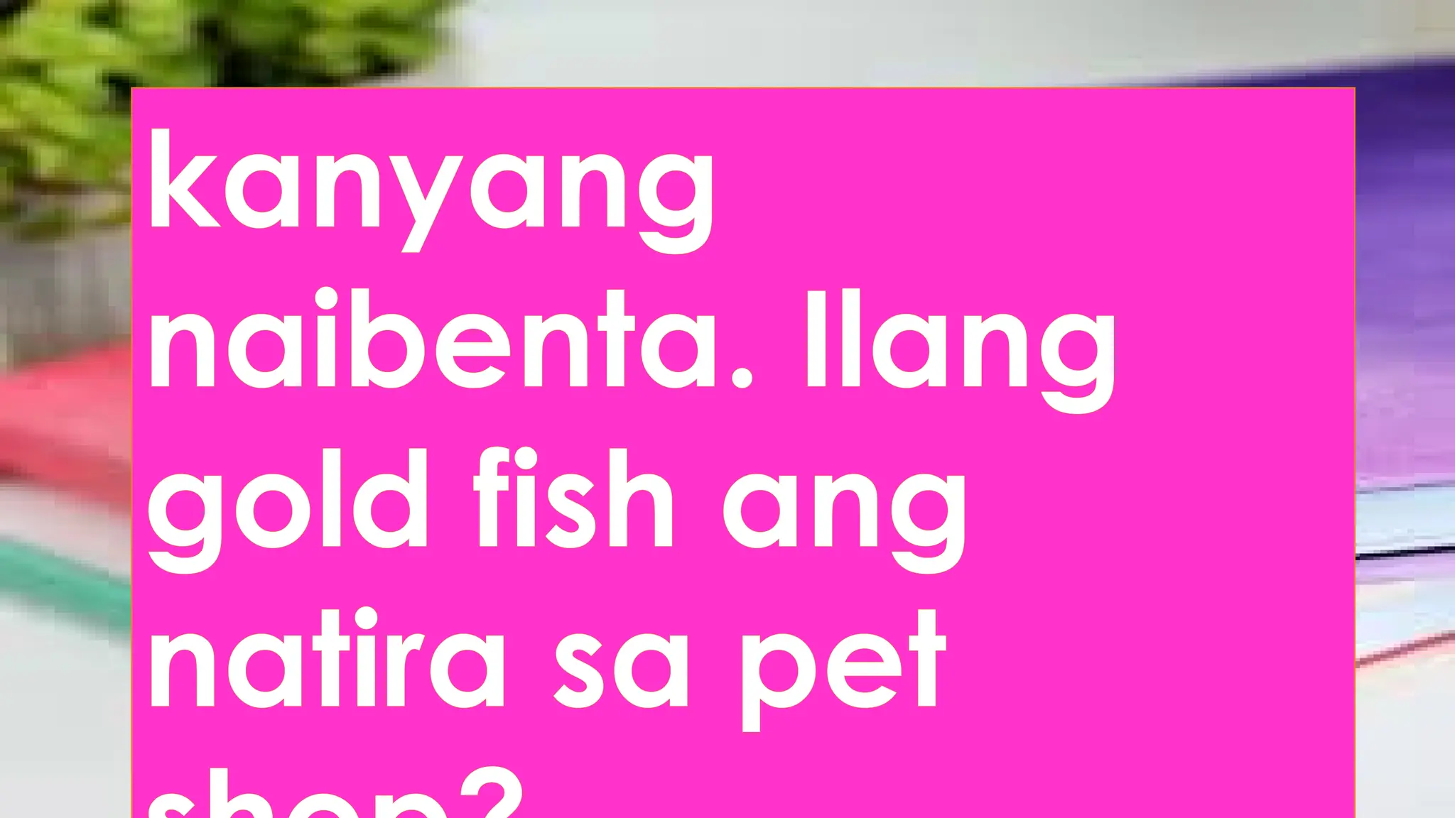kanyang
naibenta. Ilang
gold fish ang
natira sa pet
 