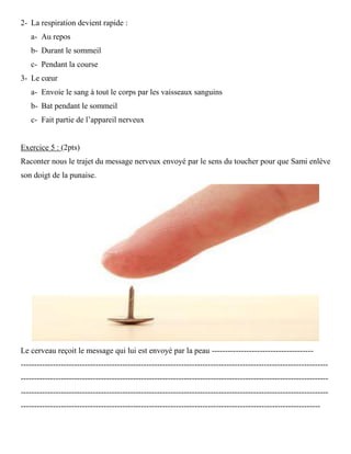 2- La respiration devient rapide :
a- Au repos
b- Durant le sommeil
c- Pendant la course
3- Le cœur
a- Envoie le sang à tout le corps par les vaisseaux sanguins
b- Bat pendant le sommeil
c- Fait partie de l’appareil nerveux
Exercice 5 : (2pts)
Raconter nous le trajet du message nerveux envoyé par le sens du toucher pour que Sami enlève
son doigt de la punaise.
Le cerveau reçoit le message qui lui est envoyé par la peau --------------------------------------
-------------------------------------------------------------------------------------------------------------------
-------------------------------------------------------------------------------------------------------------------
-------------------------------------------------------------------------------------------------------------------
----------------------------------------------------------------------------------------------------------------
 
