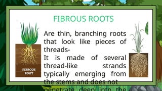PARTS OF PLANTS- GRADE 3- QUARTER 2 LESSON | PPTX