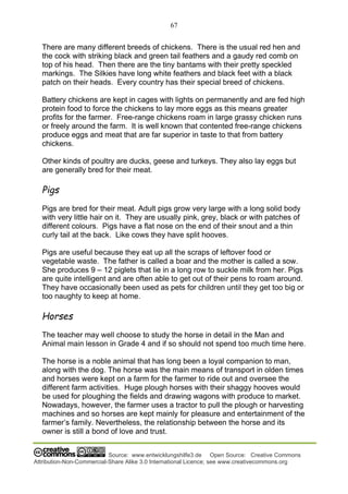 67
Source: www.entwicklungshilfe3.de Open Source: Creative Commons
Attribution-Non-Commercial-Share Alike 3.0 International Licence; see www.creativecommons.org
There are many different breeds of chickens. There is the usual red hen and
the cock with striking black and green tail feathers and a gaudy red comb on
top of his head. Then there are the tiny bantams with their pretty speckled
markings. The Silkies have long white feathers and black feet with a black
patch on their heads. Every country has their special breed of chickens.
Battery chickens are kept in cages with lights on permanently and are fed high
protein food to force the chickens to lay more eggs as this means greater
profits for the farmer. Free-range chickens roam in large grassy chicken runs
or freely around the farm. It is well known that contented free-range chickens
produce eggs and meat that are far superior in taste to that from battery
chickens.
Other kinds of poultry are ducks, geese and turkeys. They also lay eggs but
are generally bred for their meat.
Pigs
Pigs are bred for their meat. Adult pigs grow very large with a long solid body
with very little hair on it. They are usually pink, grey, black or with patches of
different colours. Pigs have a flat nose on the end of their snout and a thin
curly tail at the back. Like cows they have split hooves.
Pigs are useful because they eat up all the scraps of leftover food or
vegetable waste. The father is called a boar and the mother is called a sow.
She produces 9 – 12 piglets that lie in a long row to suckle milk from her. Pigs
are quite intelligent and are often able to get out of their pens to roam around.
They have occasionally been used as pets for children until they get too big or
too naughty to keep at home.
Horses
The teacher may well choose to study the horse in detail in the Man and
Animal main lesson in Grade 4 and if so should not spend too much time here.
The horse is a noble animal that has long been a loyal companion to man,
along with the dog. The horse was the main means of transport in olden times
and horses were kept on a farm for the farmer to ride out and oversee the
different farm activities. Huge plough horses with their shaggy hooves would
be used for ploughing the fields and drawing wagons with produce to market.
Nowadays, however, the farmer uses a tractor to pull the plough or harvesting
machines and so horses are kept mainly for pleasure and entertainment of the
farmer’s family. Nevertheless, the relationship between the horse and its
owner is still a bond of love and trust.
 