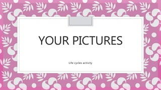 YOUR PICTURES
Life cycles activity
 