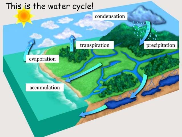 Grade 3 Unit 4 Lesson 2 The Water Cycle lesson | PPT