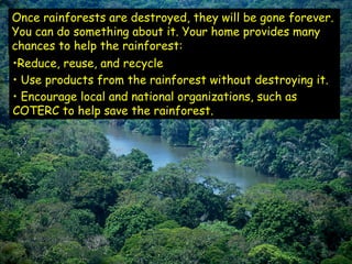 Once rainforests are destroyed, they will be gone forever.
You can do something about it. Your home provides many
chances to help the rainforest:
•Reduce, reuse, and recycle
• Use products from the rainforest without destroying it.
• Encourage local and national organizations, such as
COTERC to help save the rainforest.
 
