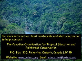 For more information about rainforests and what you can do
to help, contact:
   The Canadian Organization for Tropical Education and
                 Rainforest Conservation
      P.O. Box 335, Pickering, Ontario, Canada L1V 2R
   Website: www.coterc.org Email: education@coterc.org
 
