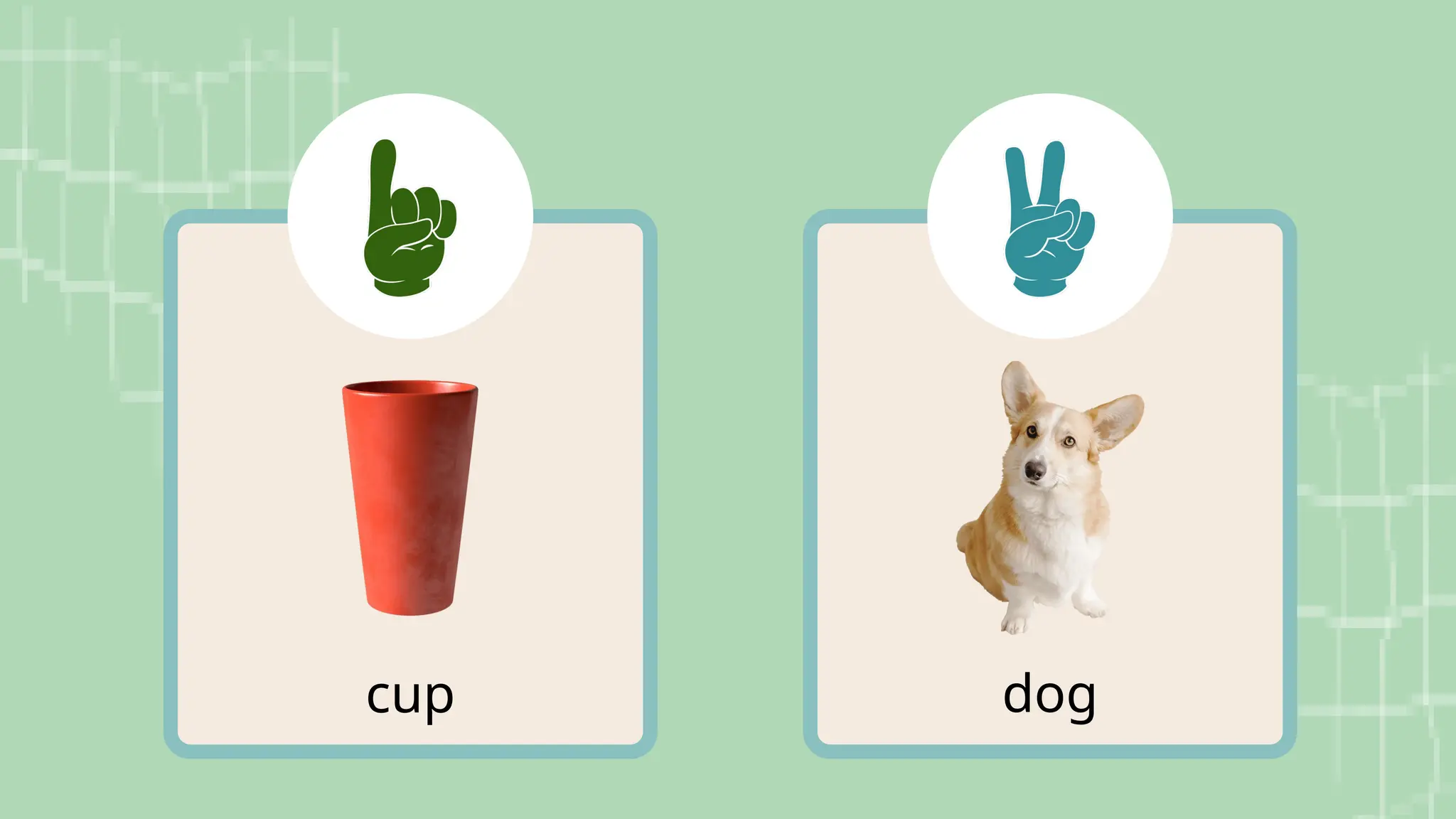 dog
cup
 