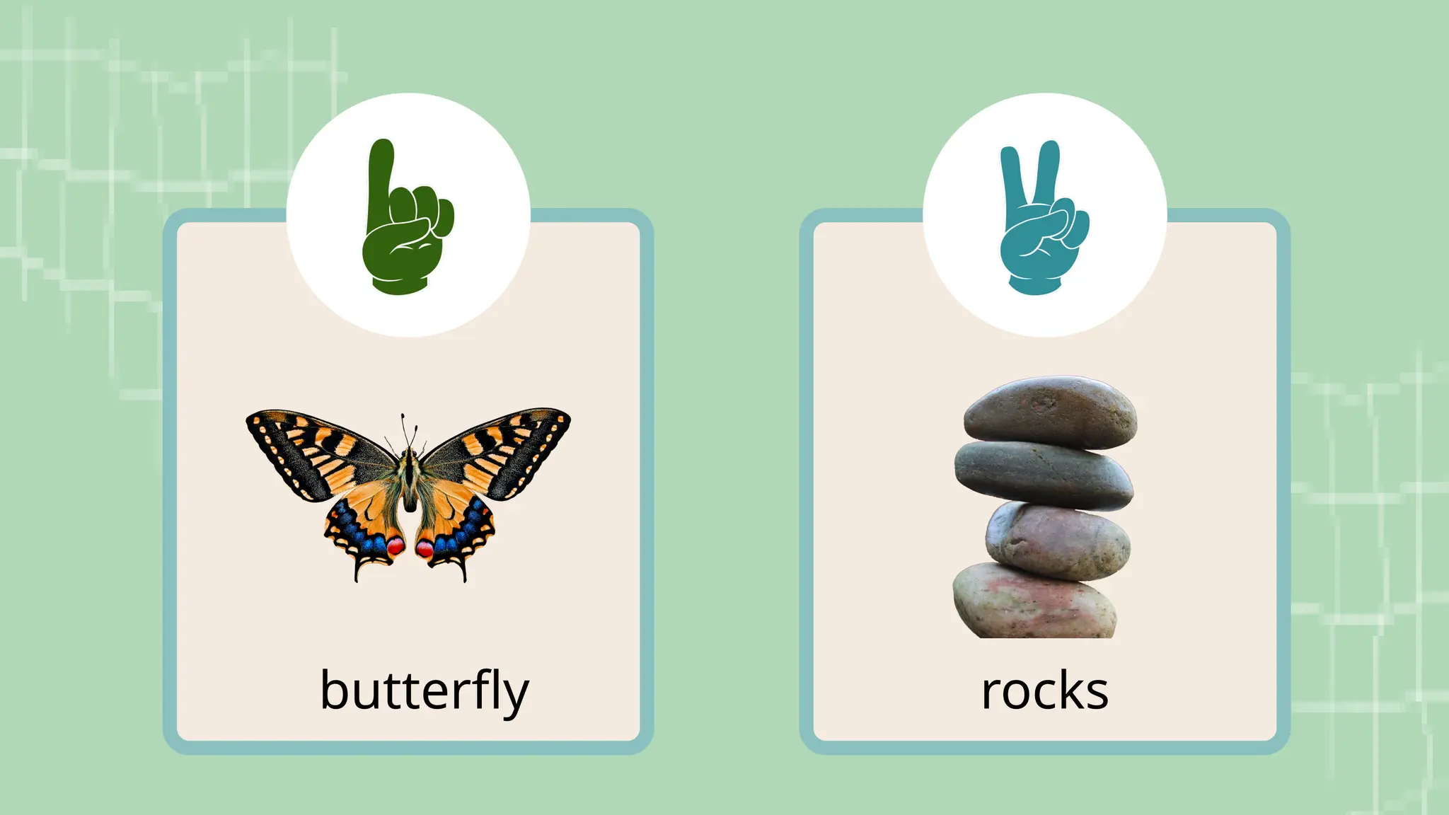 rocks
butterfly
 