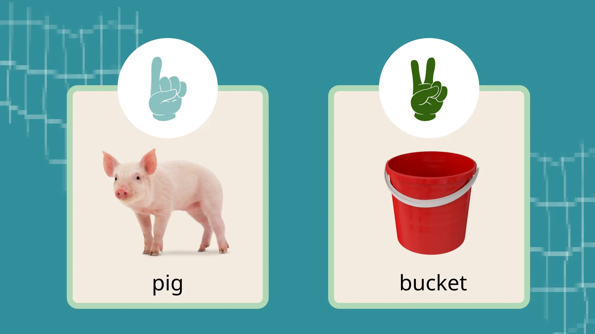 pig bucket
 