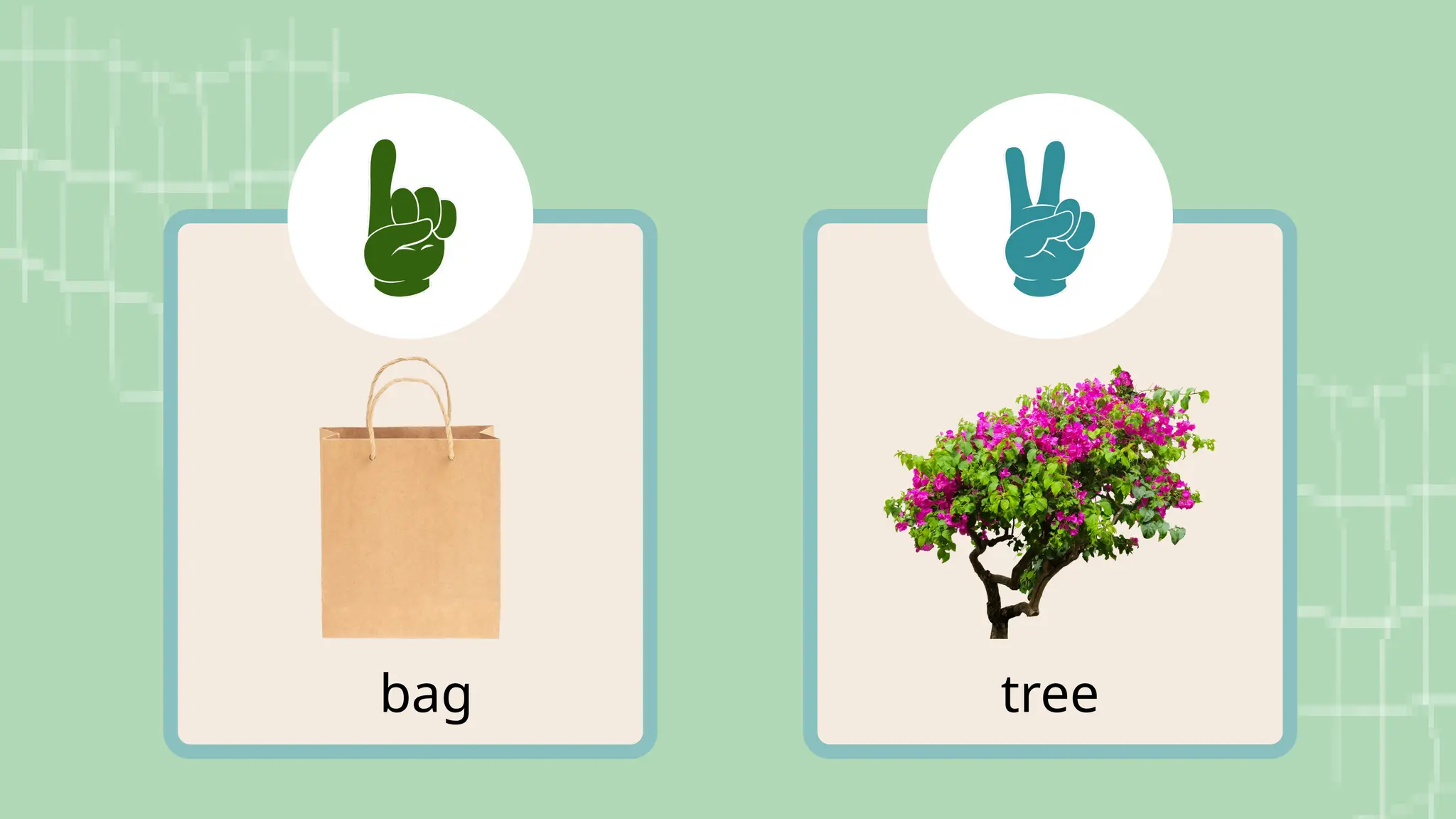 tree
bag
 