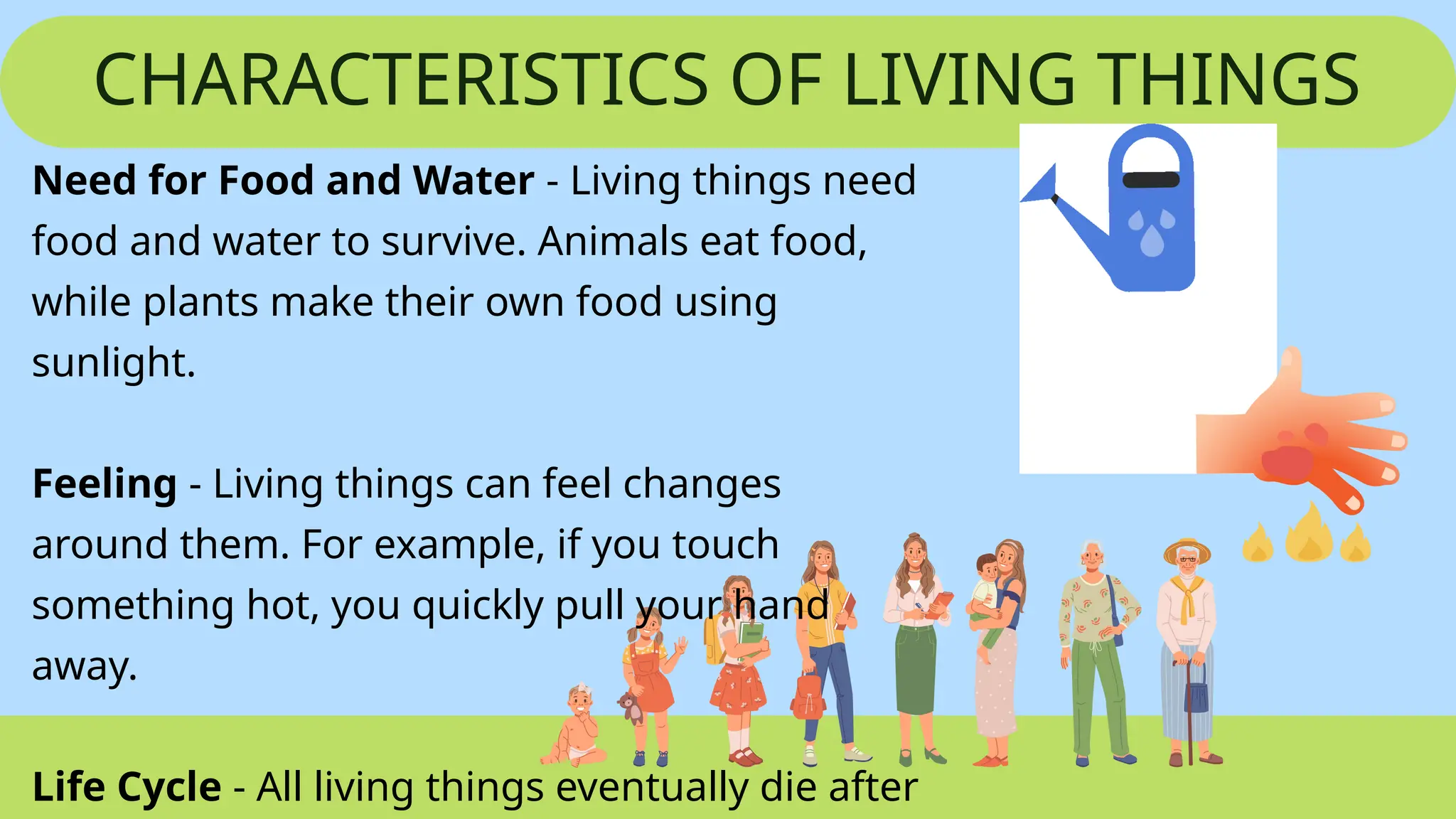 CHARACTERISTICS OF LIVING THINGS
Need for Food and Water - Living things need
food and water to survive. Animals eat food,
while plants make their own food using
sunlight.
Feeling - Living things can feel changes
around them. For example, if you touch
something hot, you quickly pull your hand
away.
Life Cycle - All living things eventually die after
 