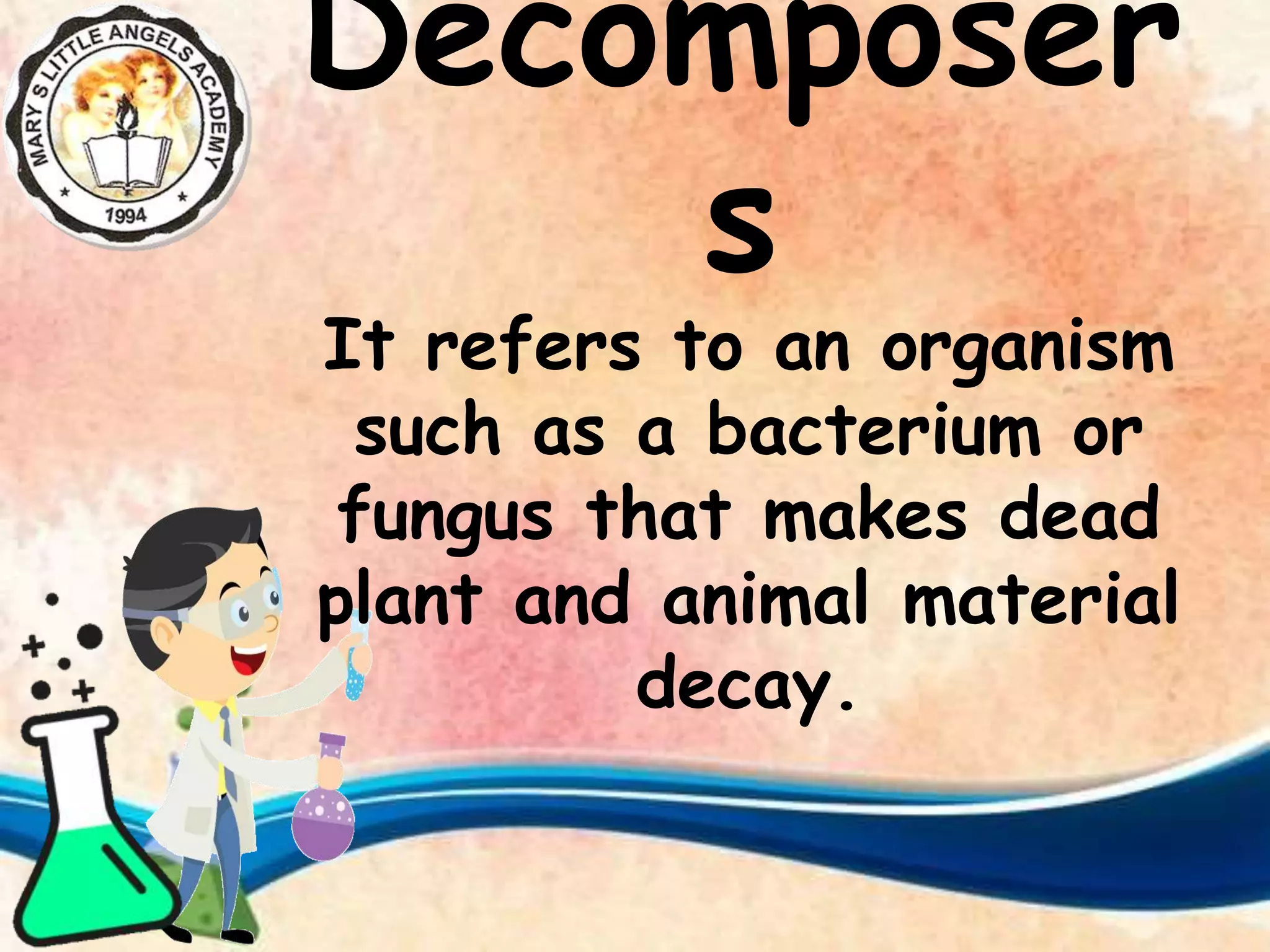 Decomposer
s
It refers to an organism
such as a bacterium or
fungus that makes dead
plant and animal material
decay.