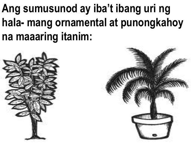 Featured image of post Pagtatanim Ng Gulay Drawing Sumulat ng liham si maria