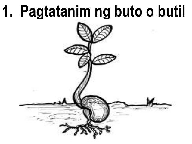 Featured image of post Drawing Ng Pagtatanim Ng Puno a small project by ben moren