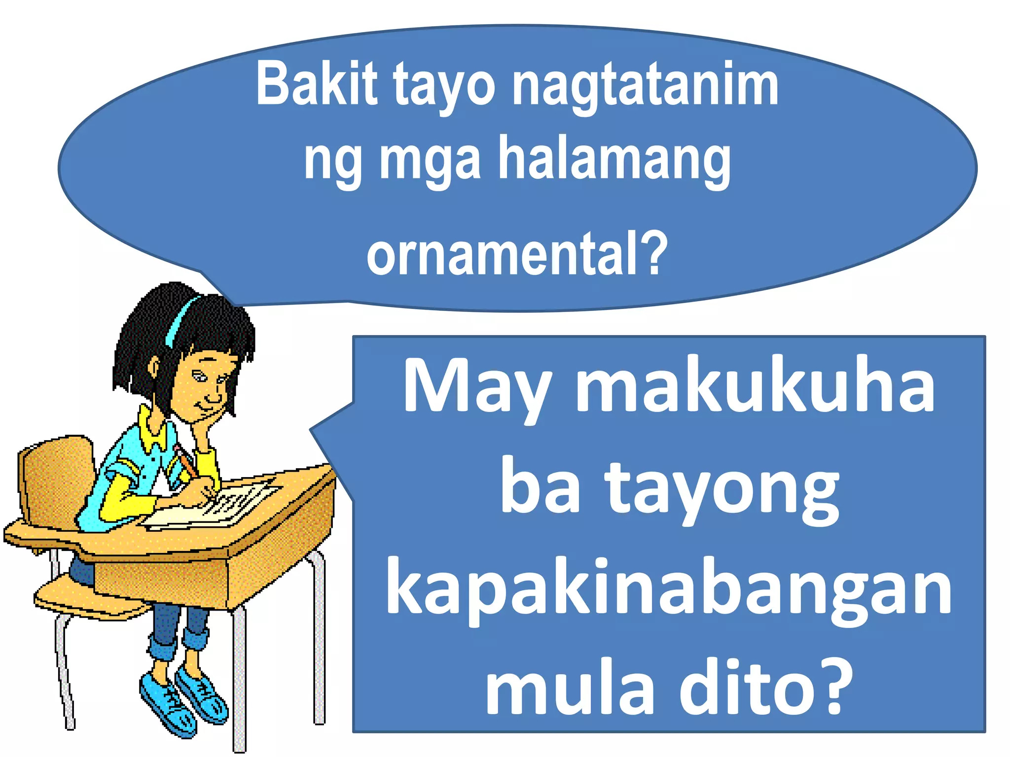 Bakit tayo nagtatanim
ng mga halamang
ornamental?
May makukuha
ba tayong
kapakinabangan
mula dito?