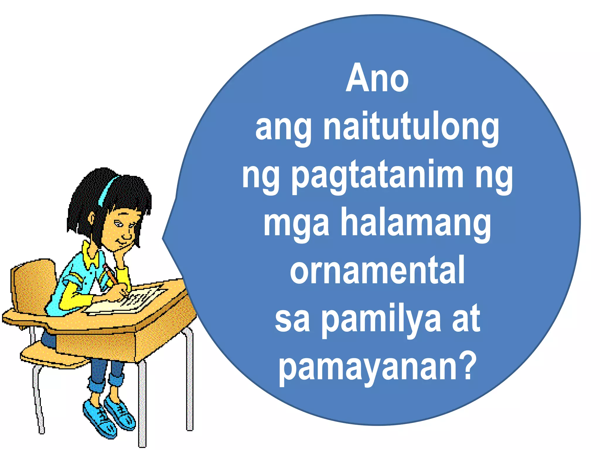 Ano
ang naitutulong
ng pagtatanim ng
mga halamang
ornamental
sa pamilya at
pamayanan?