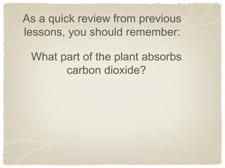 Grade 4 Adaptation Slides Ppt