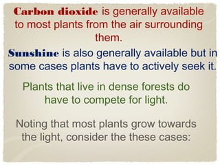 Grade 4 Adaptation Slides Ppt