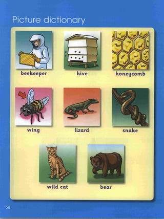 Grade 4 a pupil's book