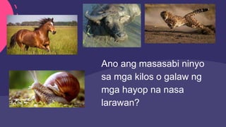 Ano ang masasabi ninyo
sa mga kilos o galaw ng
mga hayop na nasa
larawan?
 